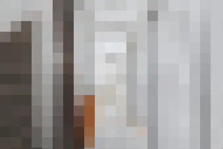 de Roolaan 31 Westmaas thumbnail 19