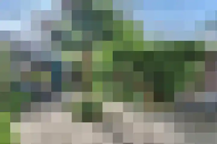 de Roolaan 31 Westmaas thumbnail 30
