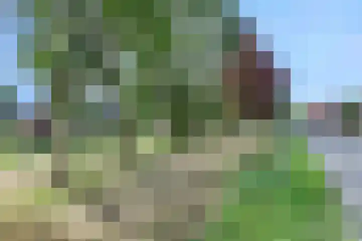 de Roolaan 31 Westmaas thumbnail 34