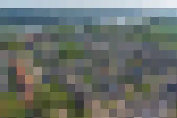 de Roolaan 31 Westmaas thumbnail 36