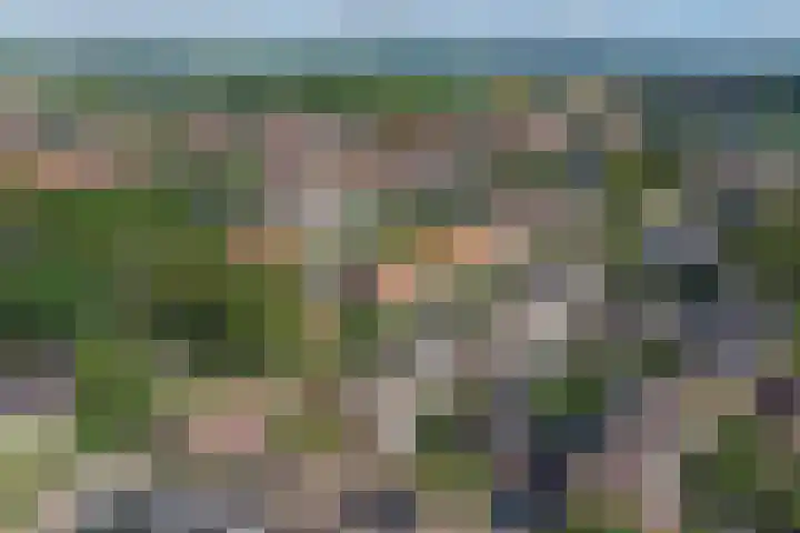 de Roolaan 31 Westmaas thumbnail 38