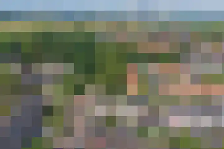 de Roolaan 31 Westmaas thumbnail 39
