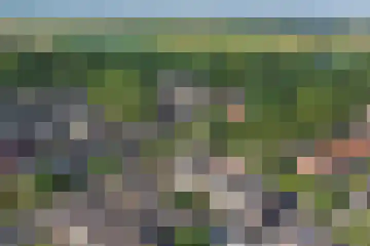 de Roolaan 31 Westmaas thumbnail 40