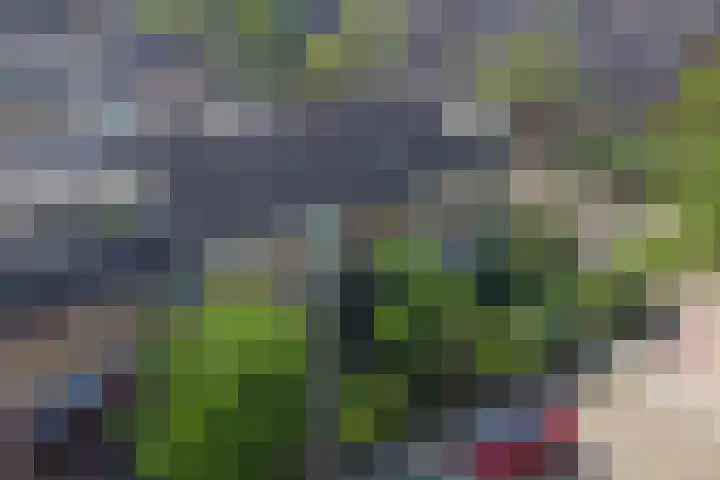 de Roolaan 31 Westmaas thumbnail 41