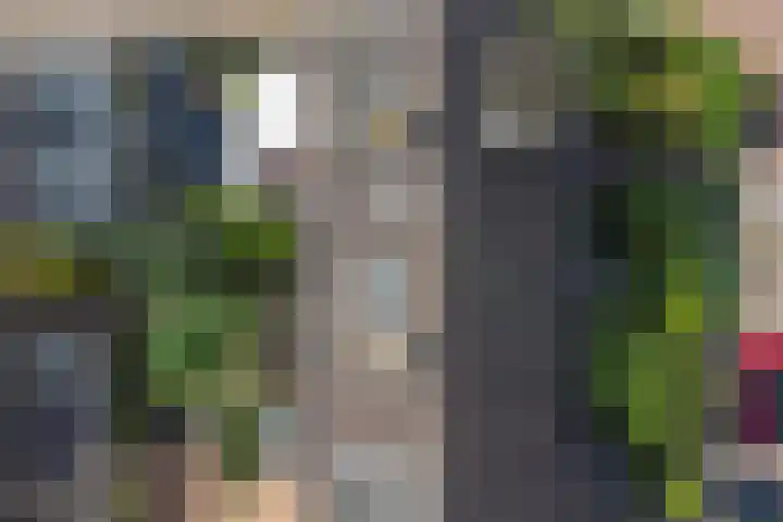 de Roolaan 31 Westmaas thumbnail 42