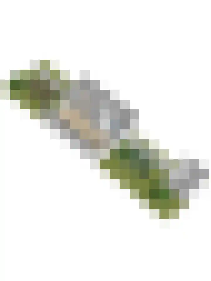 de Roolaan 31 Westmaas thumbnail 51