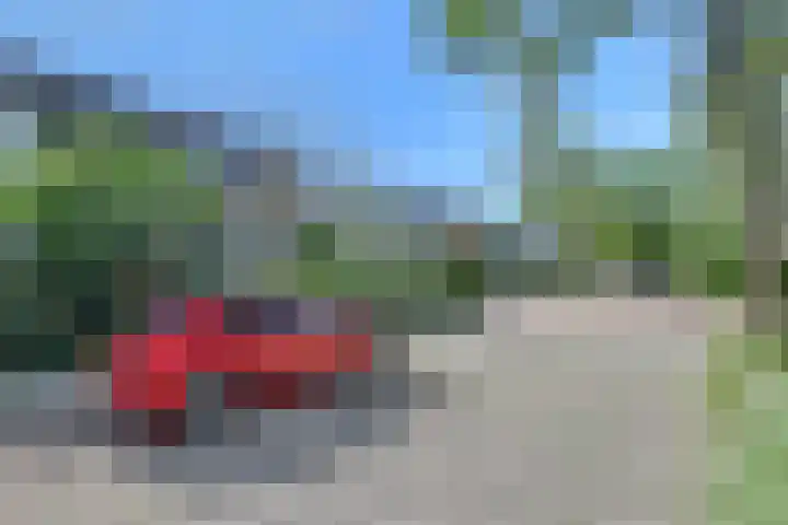 de Roolaan 31 Westmaas thumbnail 6