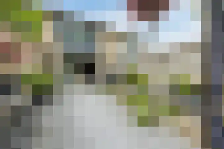 de Roos 22 Hoogerheide thumbnail 33