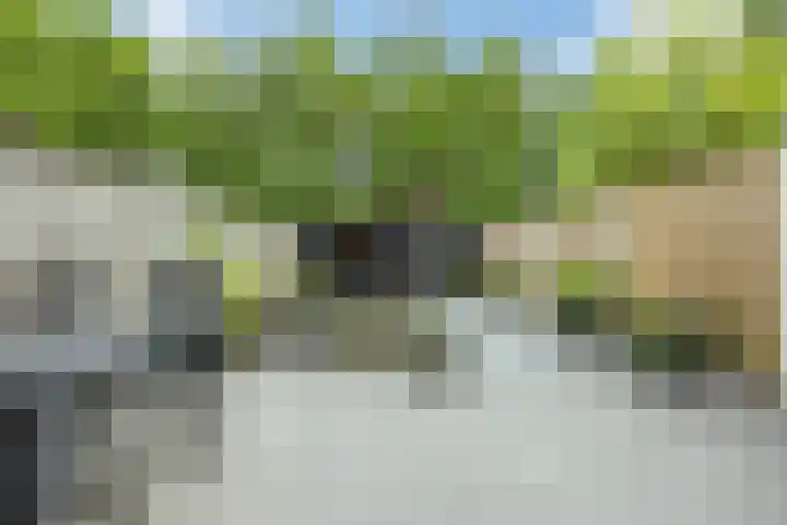 de Roos 22 Hoogerheide thumbnail 34