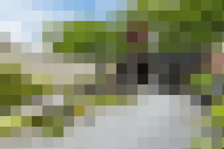 de Roos 22 Hoogerheide thumbnail 35
