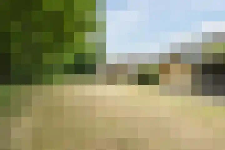 de Roos 22 Hoogerheide thumbnail 38
