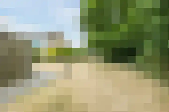 de Roos 22 Hoogerheide thumbnail 39