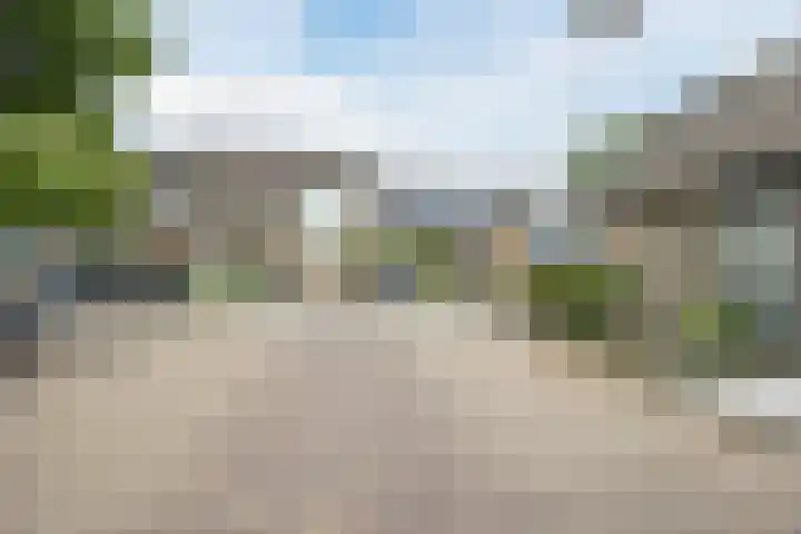 de Roos 22 Hoogerheide thumbnail 43