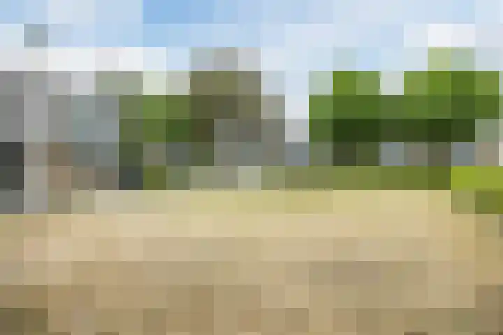 de Roos 22 Hoogerheide thumbnail 45