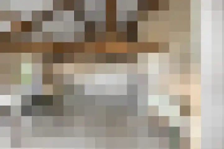 De Roozendries 8 Moergestel thumbnail 12
