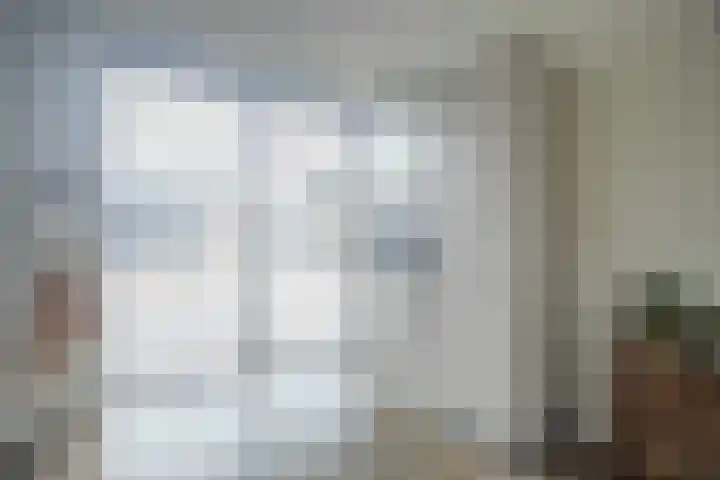 De Roozendries 8 Moergestel thumbnail 12