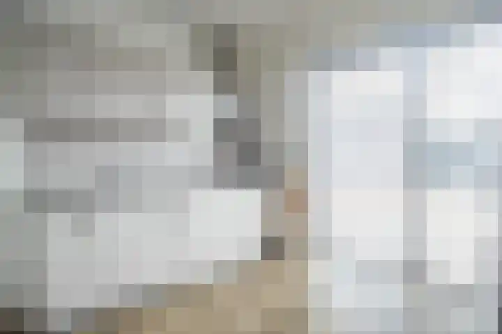 De Roozendries 8 Moergestel thumbnail 13