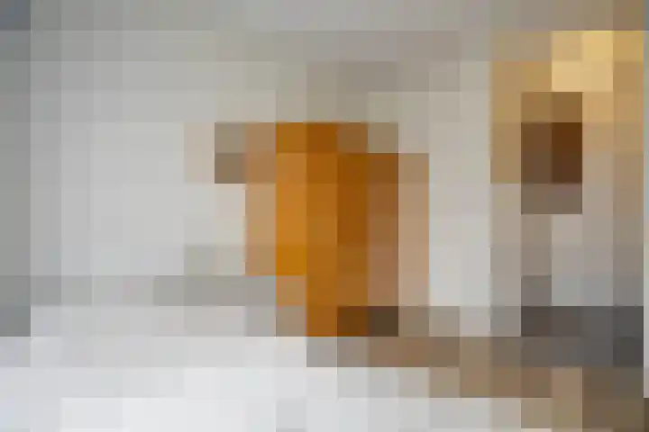 De Roozendries 8 Moergestel thumbnail 15