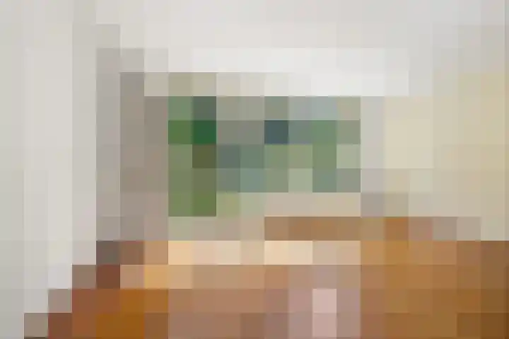 De Roozendries 8 Moergestel thumbnail 18
