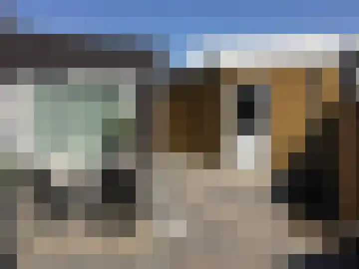 De Roozendries 8 Moergestel thumbnail 18