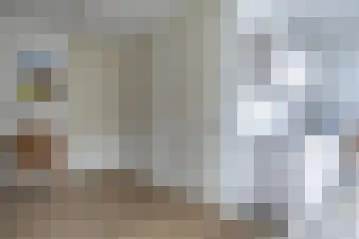 De Roozendries 8 Moergestel thumbnail 4