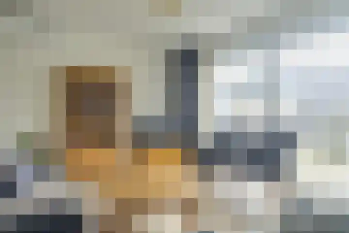 De Roozendries 8 Moergestel thumbnail 5