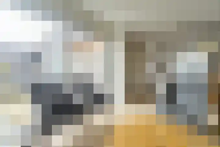 De Roozendries 8 Moergestel thumbnail 6