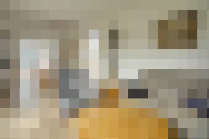 De Roozendries 8 Moergestel thumbnail 7