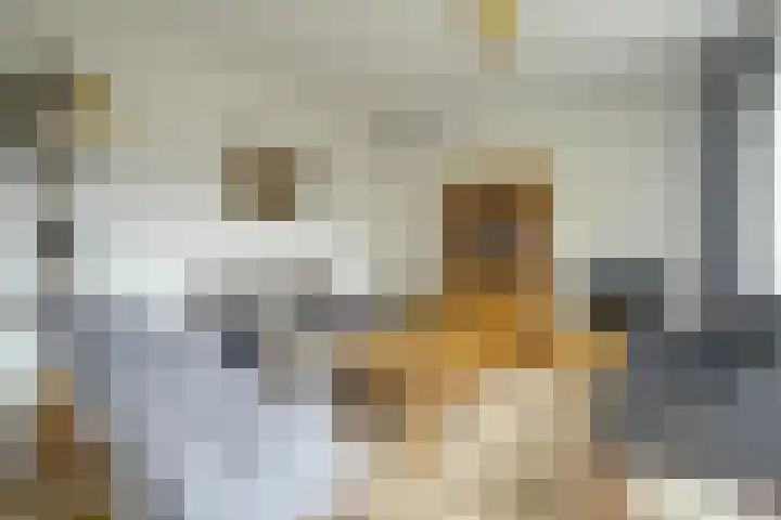 De Roozendries 8 Moergestel thumbnail 9