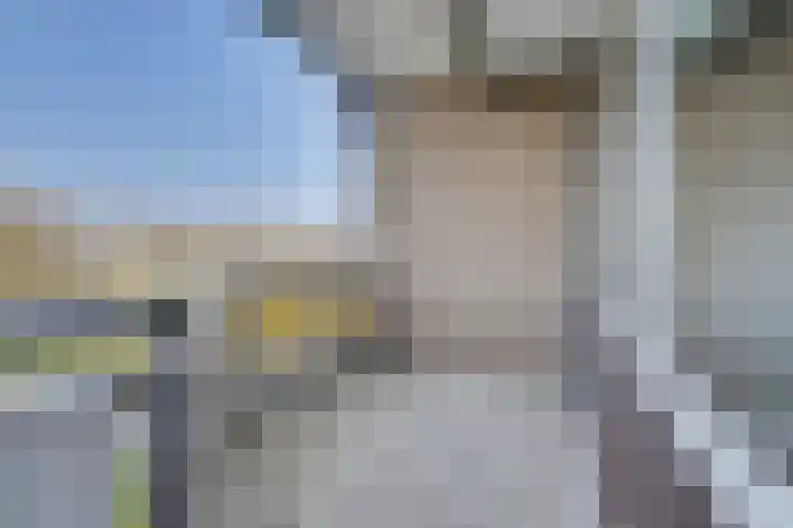 De Roskam 131 Venlo thumbnail 16