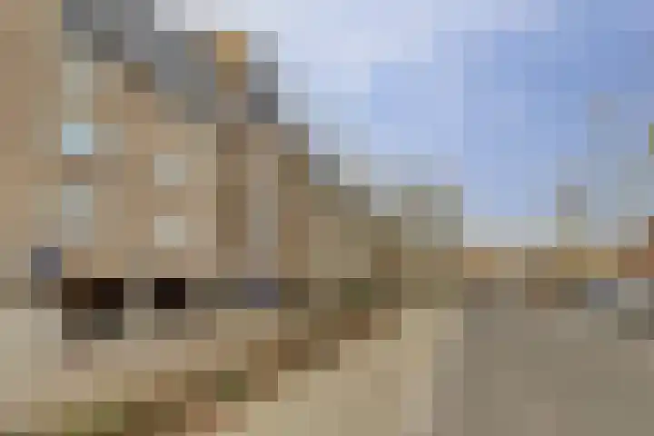 De Roskam 131 Venlo thumbnail 19