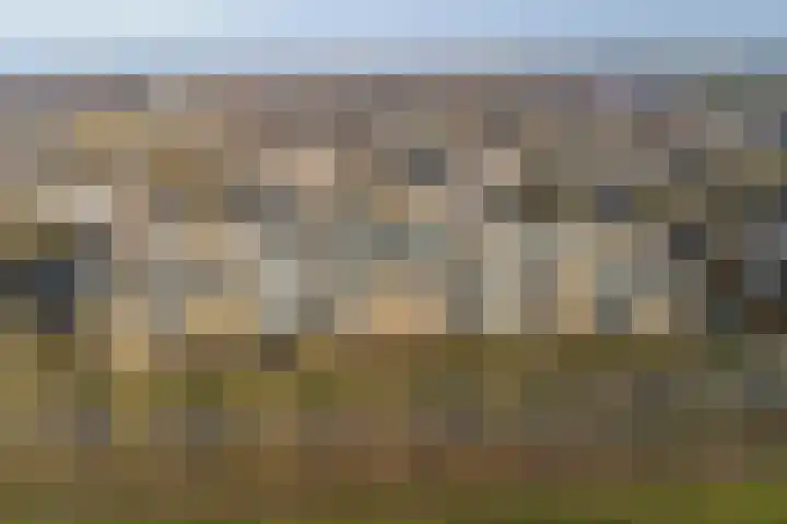 De Roskam 131 Venlo thumbnail 20