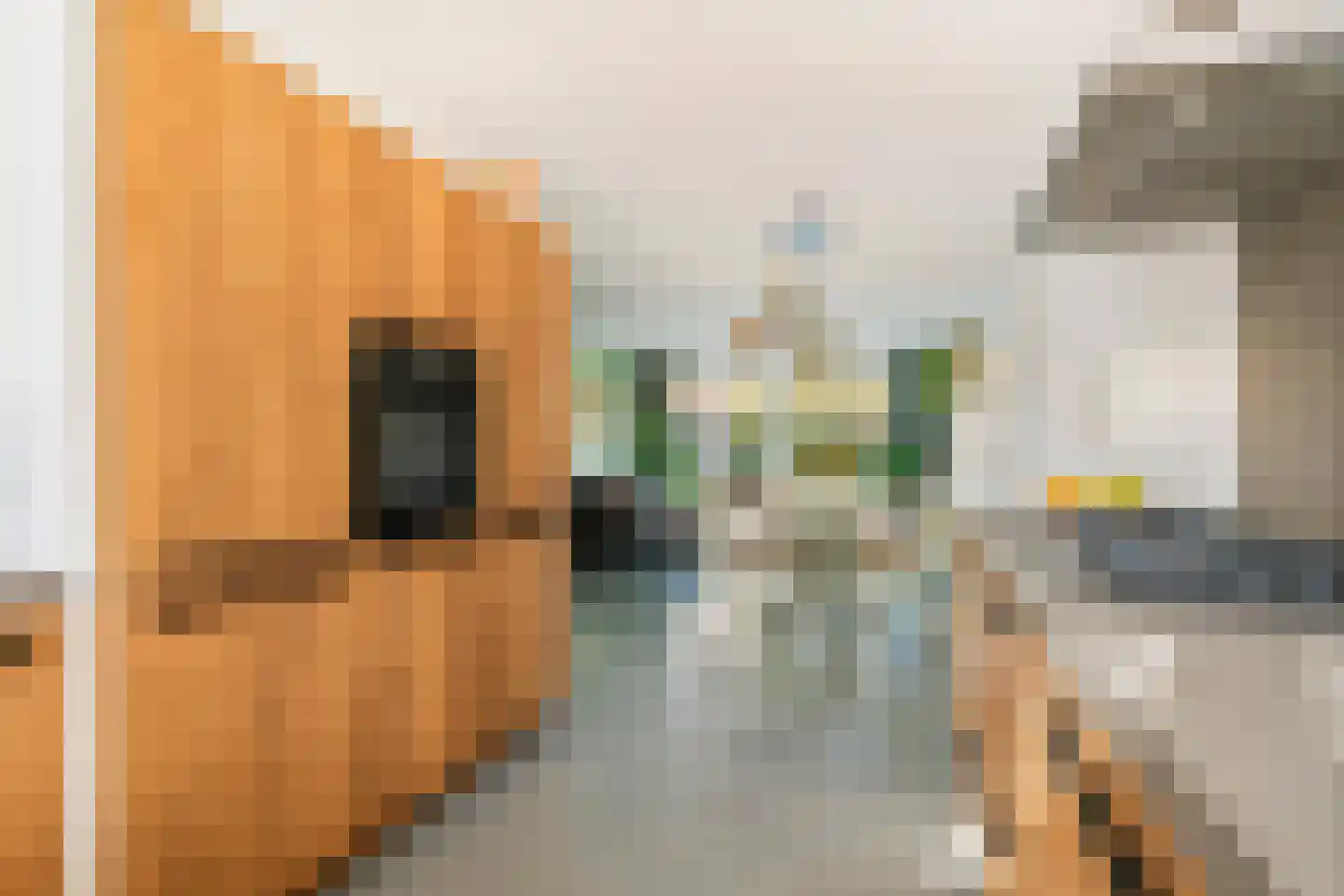 De Roskam 42 Beusichem thumbnail 11
