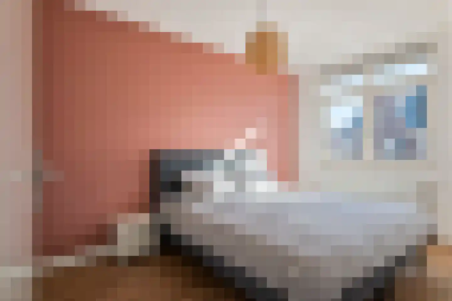 De Roskam 42 Beusichem thumbnail 25