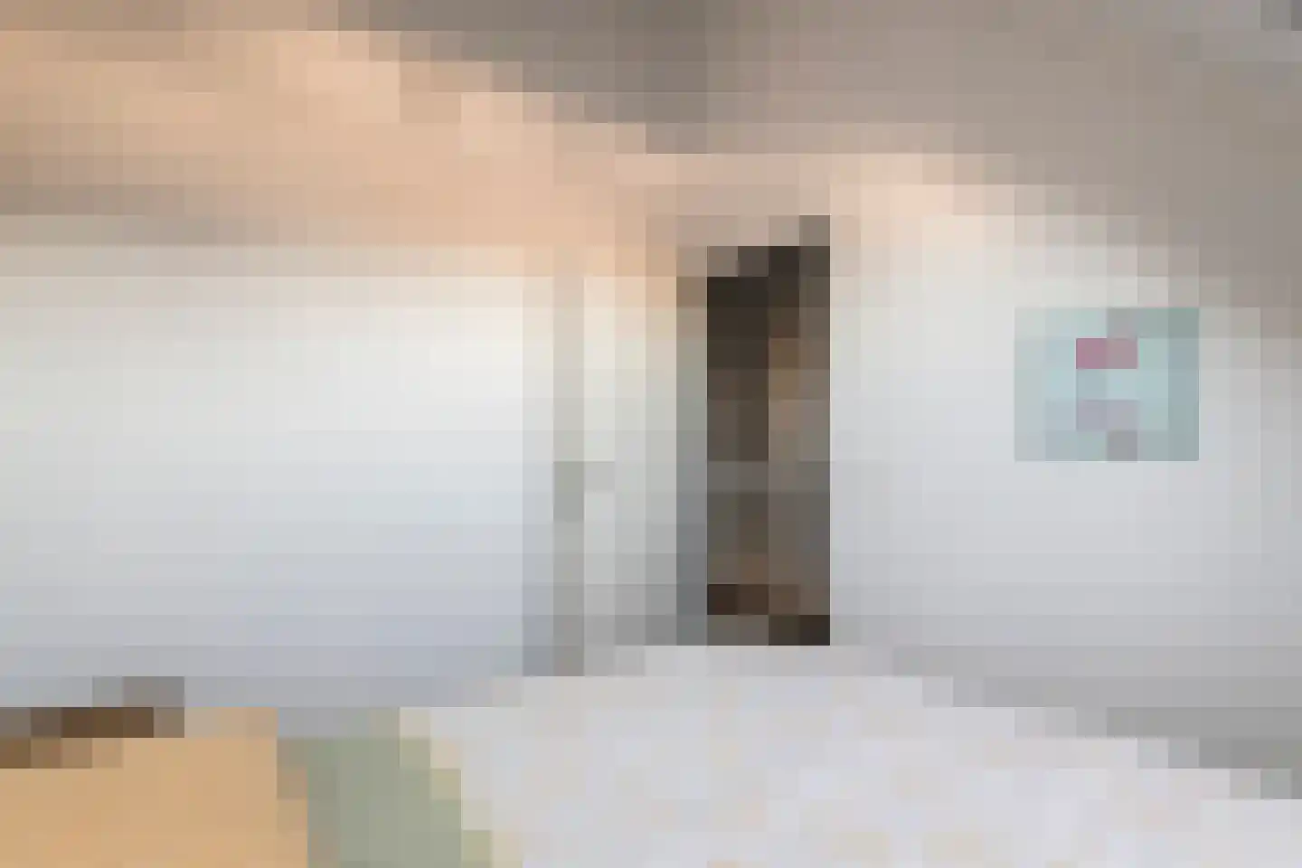 De Roskam 42 Beusichem thumbnail 37
