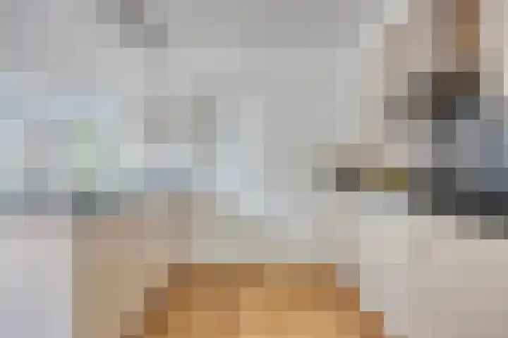De Rosmolen 38 Geffen thumbnail 10