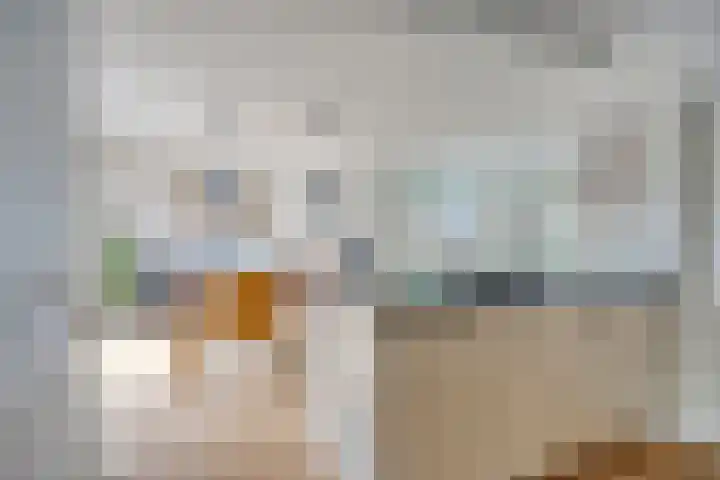 De Rosmolen 38 Geffen thumbnail 11