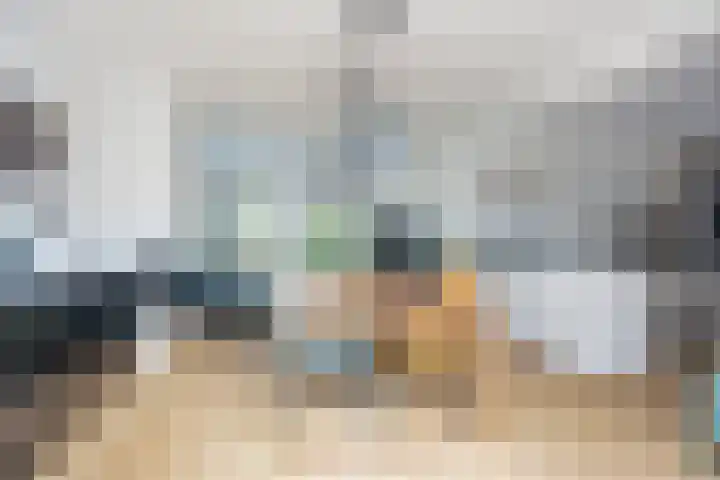 De Rosmolen 38 Geffen thumbnail 12
