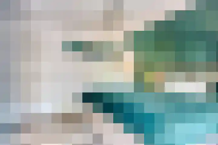 De Rosmolen 38 Geffen thumbnail 22