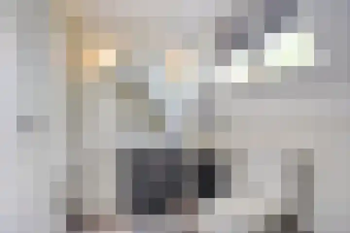 De Rosmolen 38 Geffen thumbnail 28