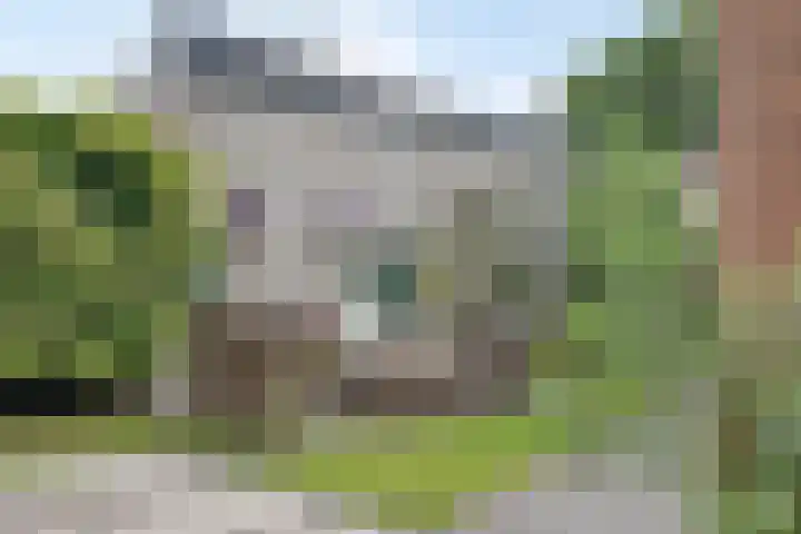 De Rosmolen 38 Geffen thumbnail 35