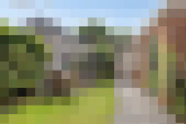 De Rosmolen 38 Geffen thumbnail 36