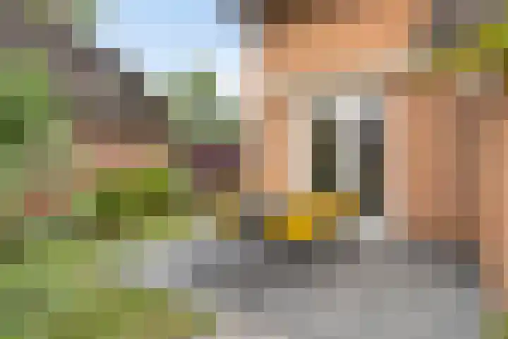 De Rosmolen 38 Geffen thumbnail 37