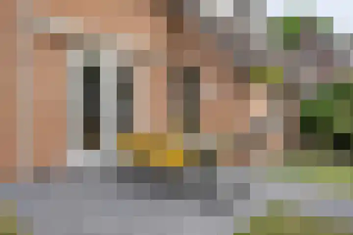 De Rosmolen 38 Geffen thumbnail 38