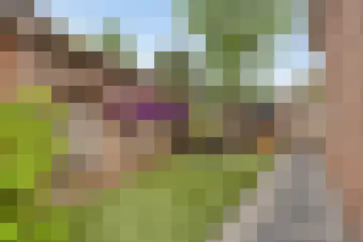 De Rosmolen 38 Geffen thumbnail 39