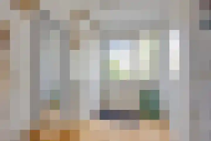 De Rosmolen 38 Geffen thumbnail 4