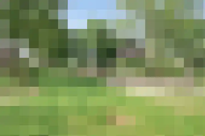 De Rosmolen 38 Geffen thumbnail 43