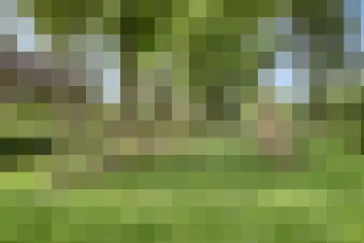 De Rosmolen 38 Geffen thumbnail 44