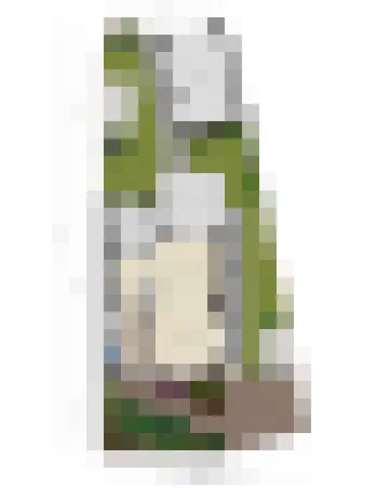 De Rosmolen 38 Geffen thumbnail 46