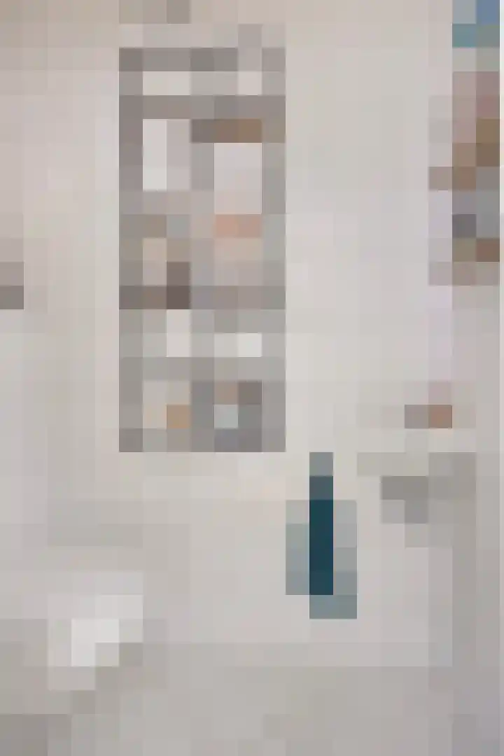 De Rosmolen 38 Geffen thumbnail 6